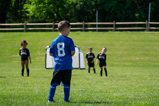 力爭高效奪 力爭高效奪