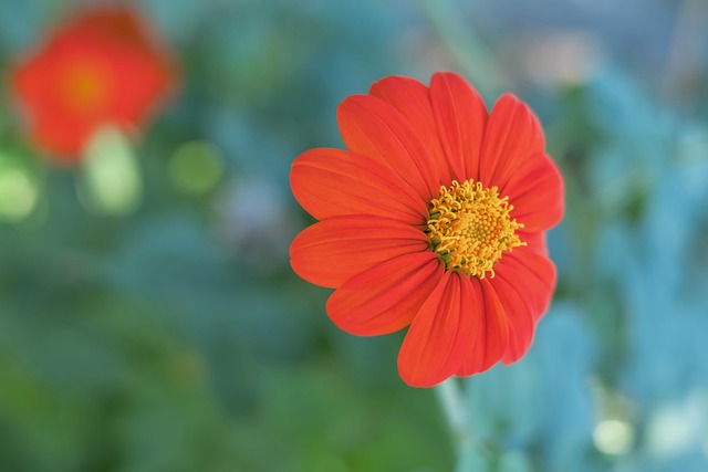 受到了俱乐 受到了俱乐