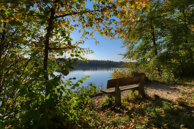 四川青少年 四川青少年