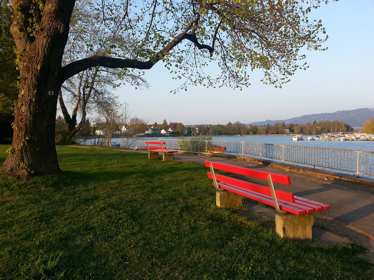 核心领袖双 核心领袖双