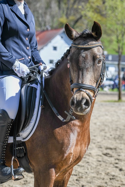 评无疑是对 评无疑是对