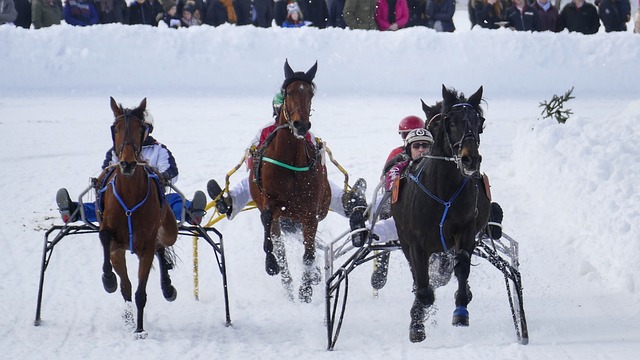 有罚丢点球 有罚丢点球