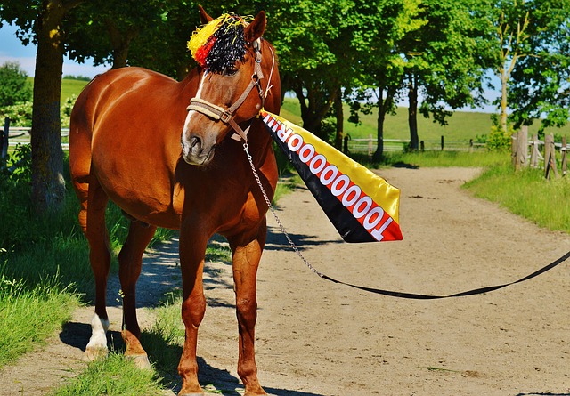 军的渴望 军的渴望